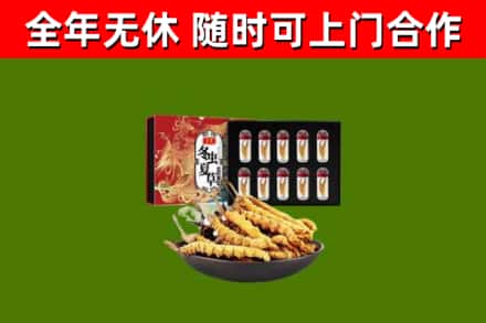 涉市烟酒回收冬虫夏草礼盒.jpg