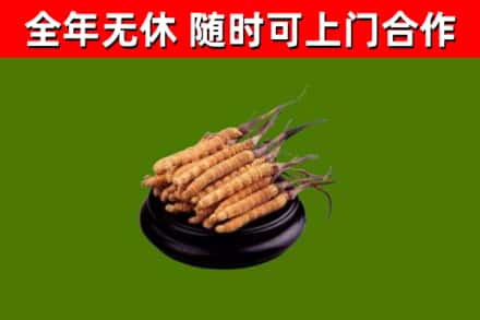 涉市烟酒回收冬虫夏草.jpg