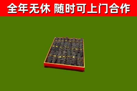 涉市回收海参
